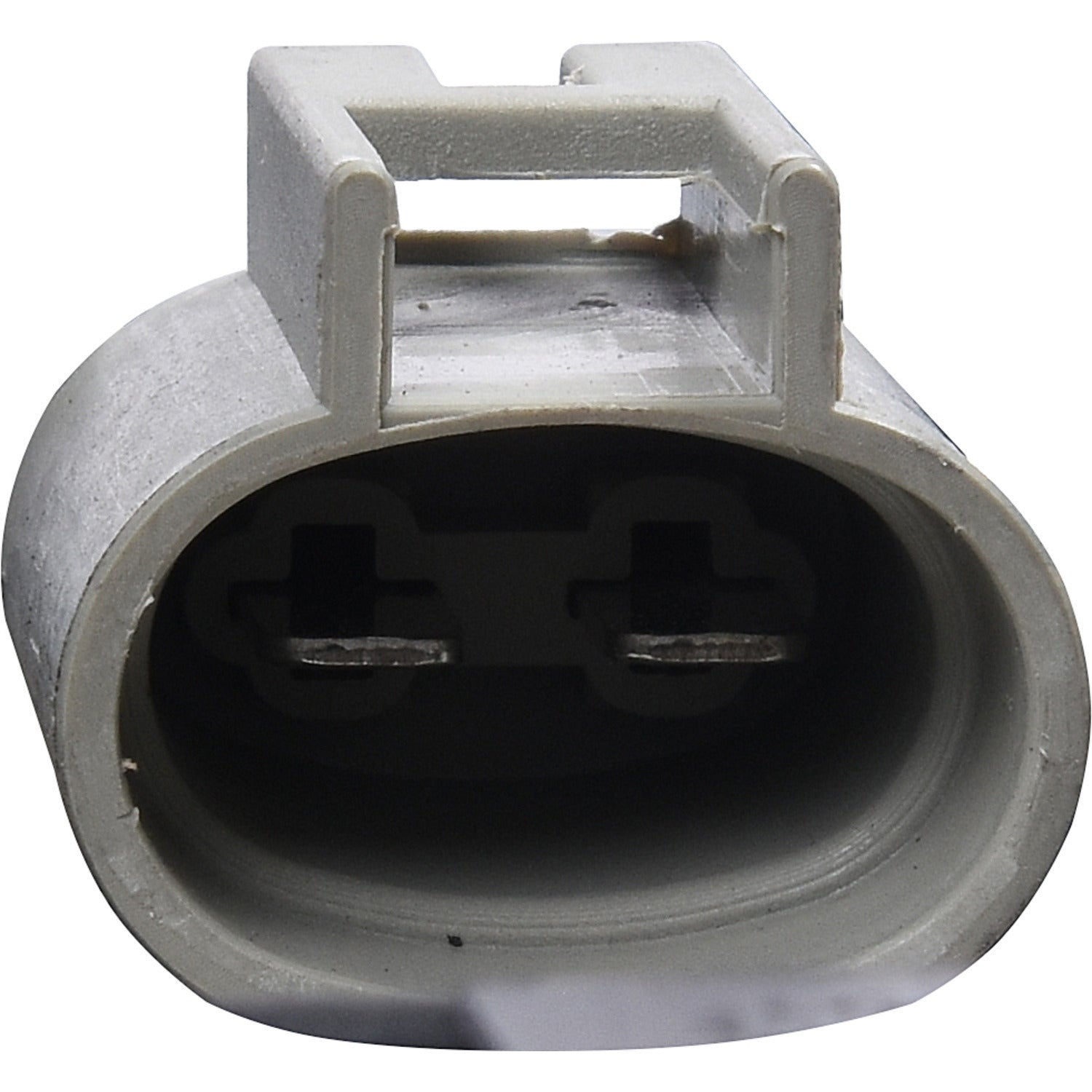 Abanico Completo 1604-520530