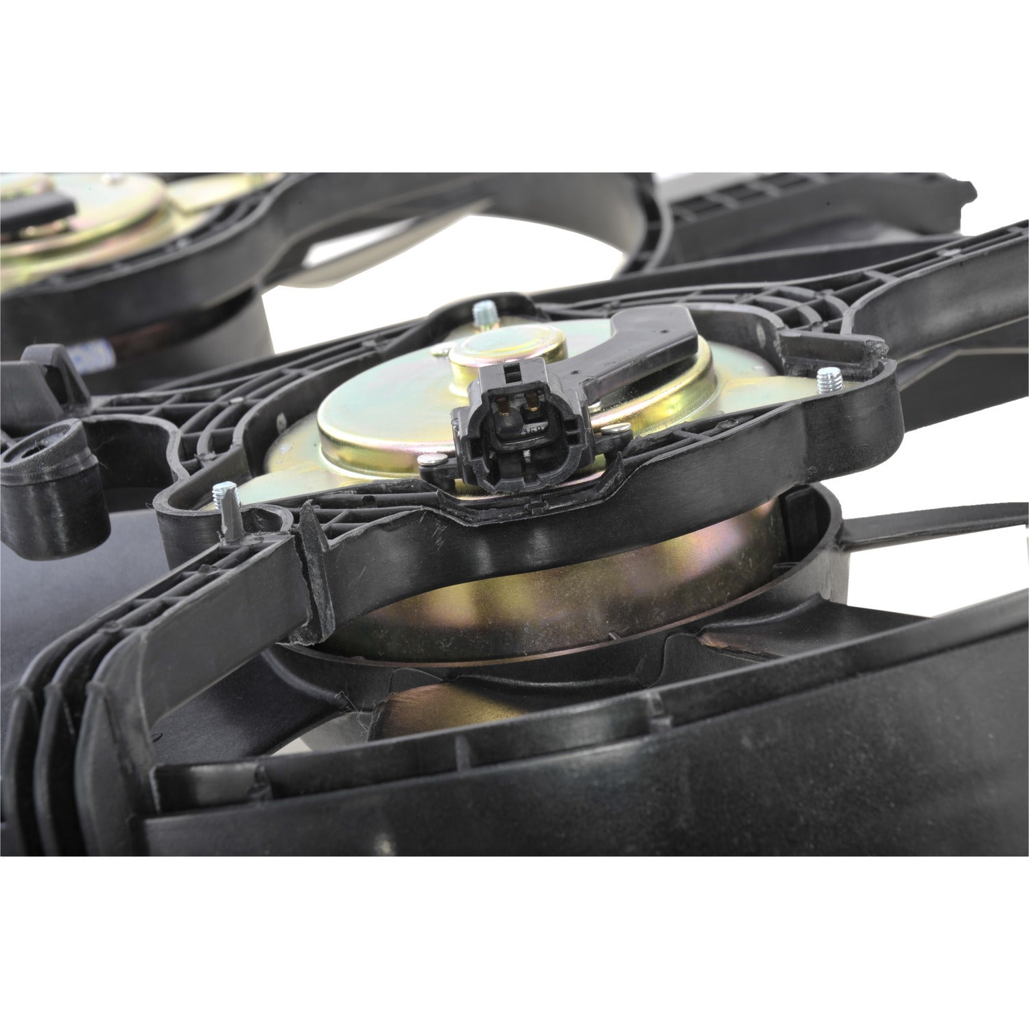 Abanico Completo 1355A225